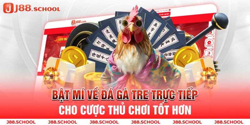 Bật Mí Về Đá Gà Tre Trực Tiếp Cho Cược Thủ Chơi Tốt Hơn