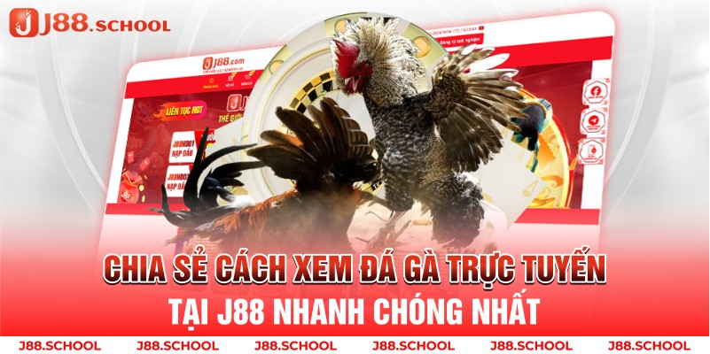 Chia sẻ cách xem đá gà trực tuyến tại J88 nhanh chóng nhất