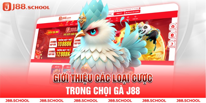 Giới Thiệu Sân Chơi Xem Đá Gà Trực Tuyến J88 Chất Lượng