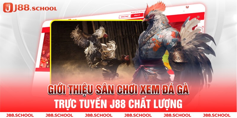 Giới thiệu các loại cược trong chọi gà J88