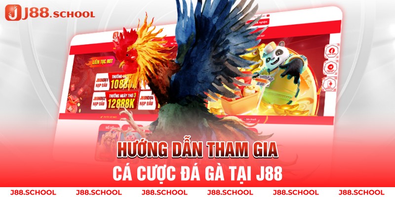 Hướng dẫn tham gia cá cược đá gà tại j88