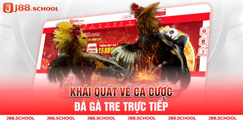 Khái quát về cá cược đá gà tre trực tiếp