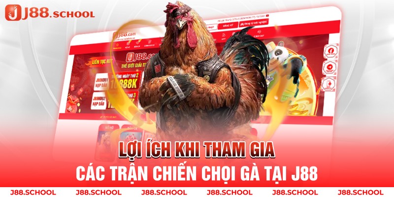 Lợi ích khi tham gia các trận chiến chọi gà tại j88