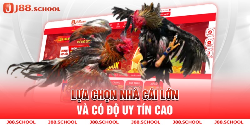 Lựa chọn nhà cái lớn và có độ uy tín cao