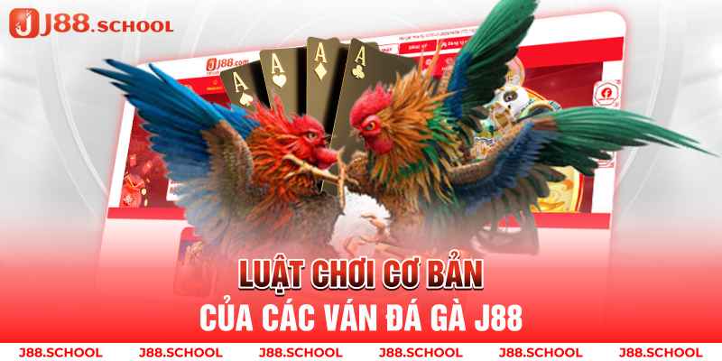 Luật chơi cơ bản của các ván đá gà j88