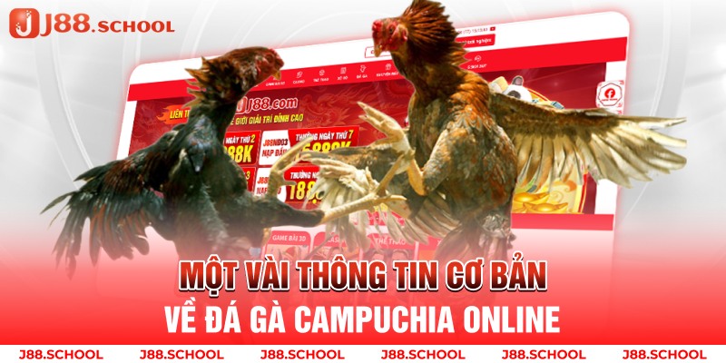 Một vài thông tin cơ bản về đá gà Campuchia online