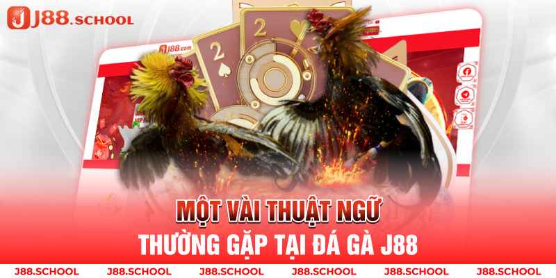 Một vài thuật ngữ thường gặp tại đá gà j88