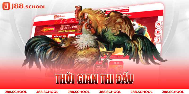 Thời gian thi đấu