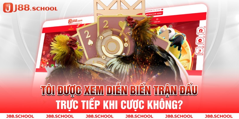 Tôi được xem diễn biến trận đấu trực tiếp khi cược không?